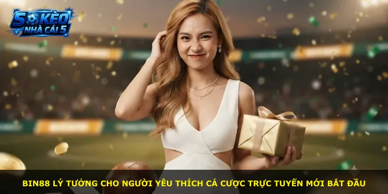 Bin88 lý tưởng cho người yêu thích cá cược trực tuyến mới bắt đầu