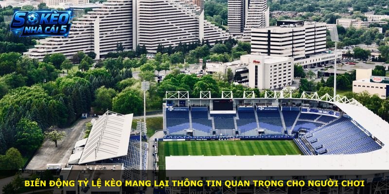Biến động tỷ lệ kèo mang lại thông tin quan trọng cho người chơi