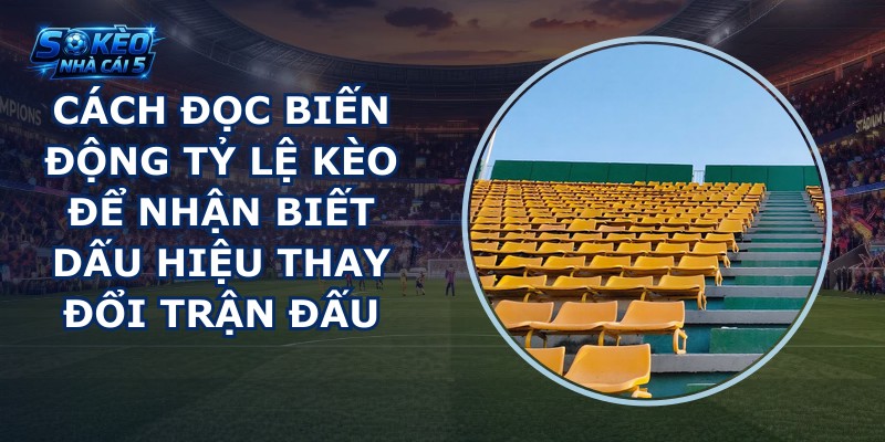 Cách đọc biến động tỷ lệ kèo