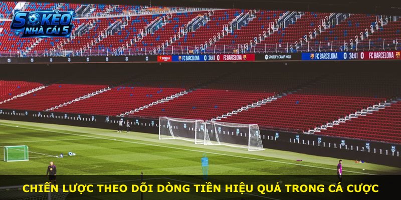 Chiến lược theo dõi dòng tiền hiệu quả trong cá cược