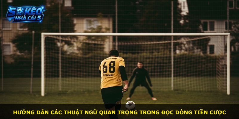 Hướng dẫn các thuật ngữ quan trọng trong đọc dòng tiền cược