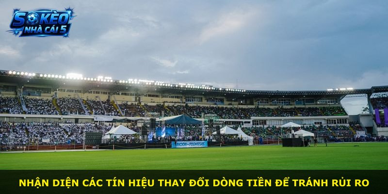 Nhận diện các tín hiệu thay đổi dòng tiền để tránh rủi ro