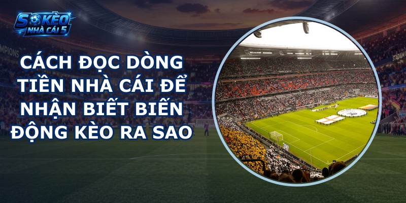 Cách đọc dòng tiền nhà cái