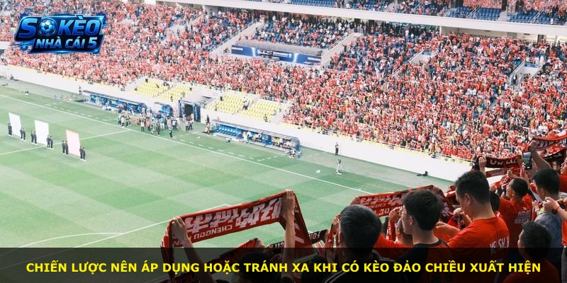 Chiến lược nên áp dụng hoặc tránh xa khi có kèo đảo chiều xuất hiện