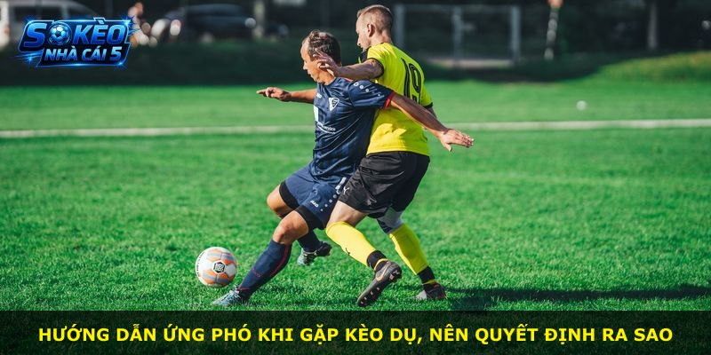 Hướng dẫn ứng phó khi gặp kèo dụ, nên quyết định ra sao