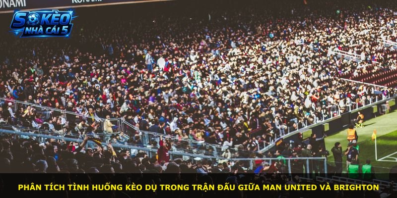 Phân tích tình huống kèo dụ trong trận đấu giữa Man United và Brighton