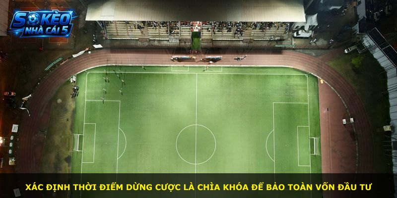 Xác định thời điểm dừng cược là chìa khóa để bảo toàn vốn đầu tư
