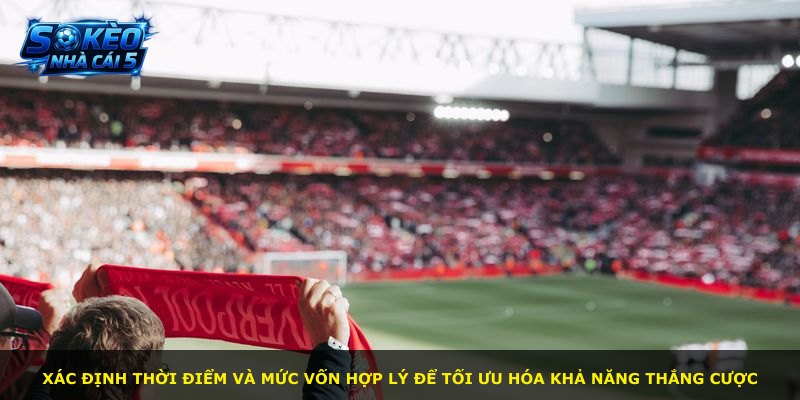 Xác định thời điểm và mức vốn hợp lý để tối ưu hóa khả năng thắng cược