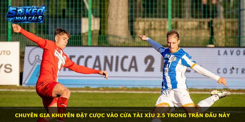 Chuyên gia khuyên đặt cược vào cửa Tài Xỉu 2.5 trong trận đấu này
