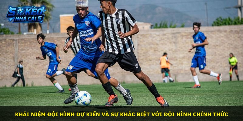 Khái niệm đội hình dự kiến và sự khác biệt với đội hình chính thức