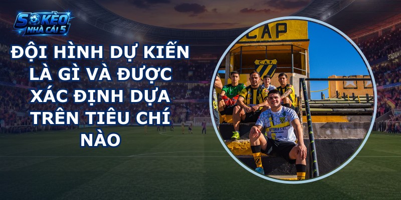 Đội hình dự kiến là gì