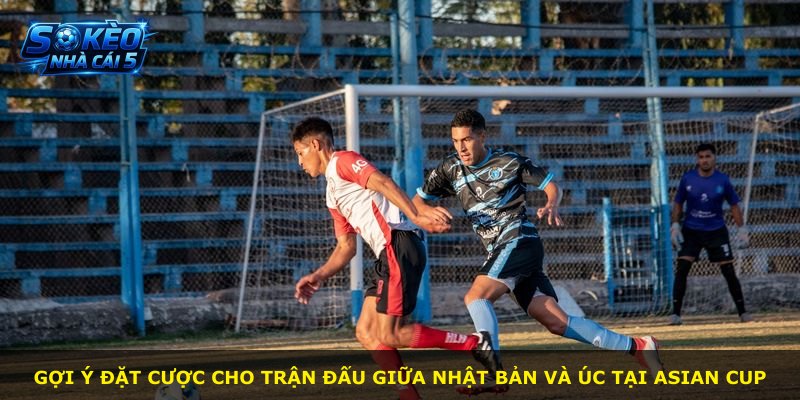 Gợi ý đặt cược cho trận đấu giữa Nhật Bản và Úc tại ASIAN CUP