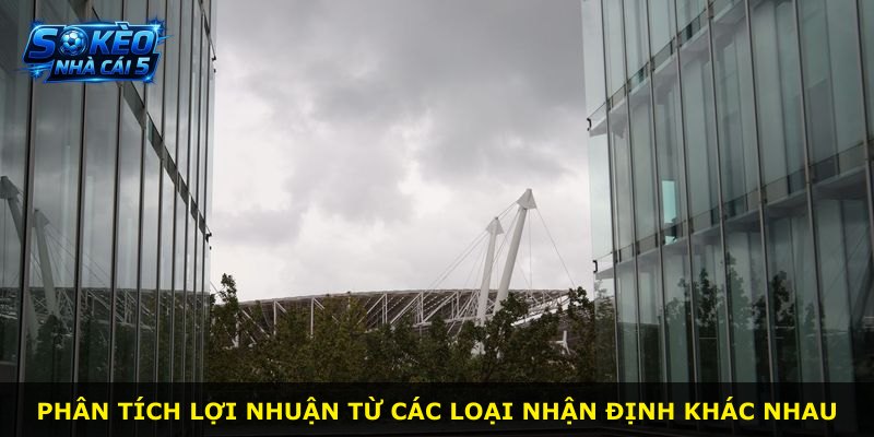 Phân tích lợi nhuận từ các loại nhận định khác nhau