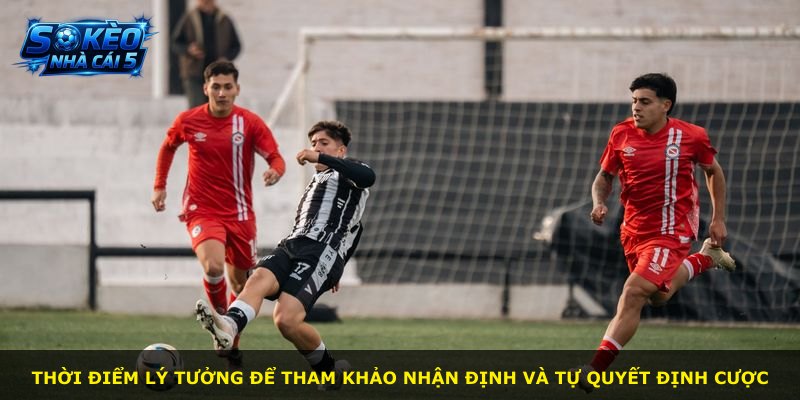 Thời điểm lý tưởng để tham khảo nhận định và tự quyết định cược