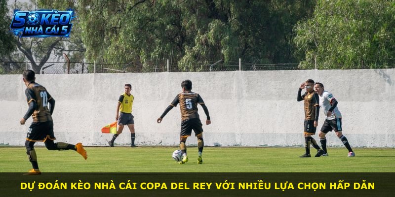 Dự đoán kèo nhà cái Copa del Rey với nhiều lựa chọn hấp dẫn