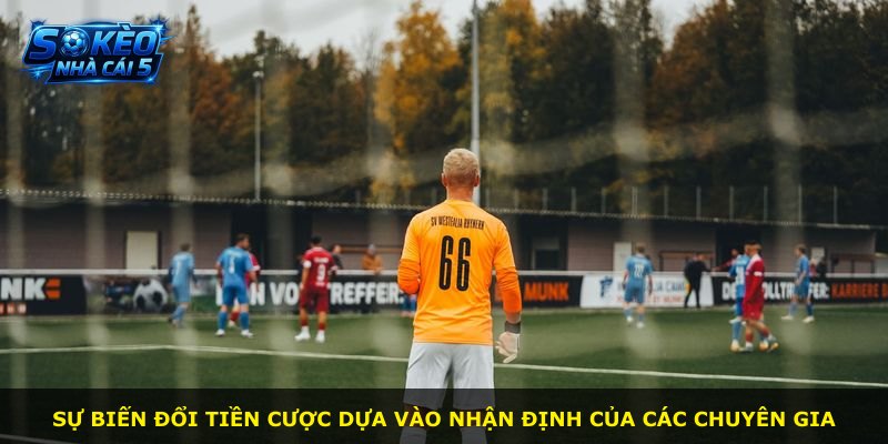 Sự biến đổi tiền cược dựa vào nhận định của các chuyên gia