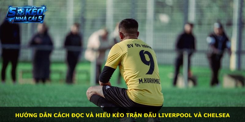 Hướng dẫn cách đọc và hiểu kèo trận đấu Liverpool và Chelsea
