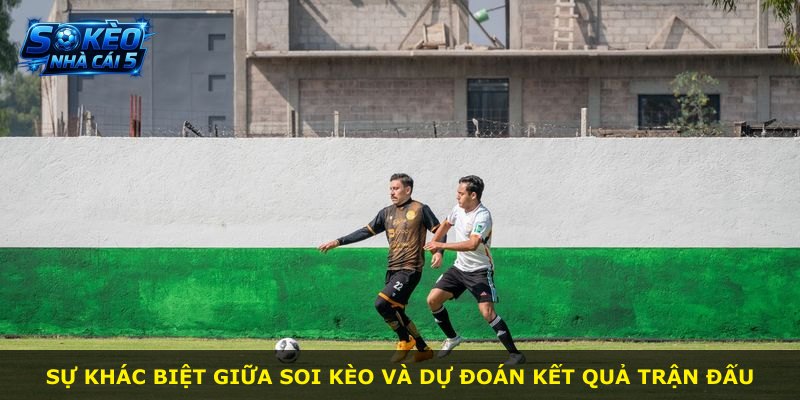 Sự khác biệt giữa soi kèo và dự đoán kết quả trận đấu