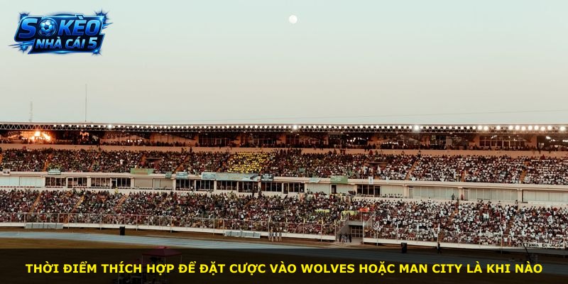 Thời điểm thích hợp để đặt cược vào Wolves hoặc Man City là khi nào