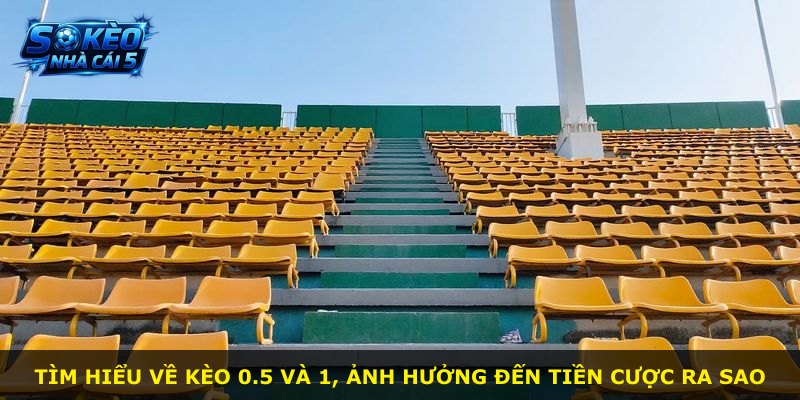 Tìm hiểu về kèo 0.5 và 1, ảnh hưởng đến tiền cược ra sao