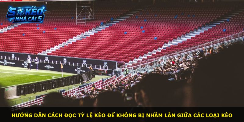 Hướng dẫn cách đọc tỷ lệ kèo để không bị nhầm lẫn giữa các loại kèo