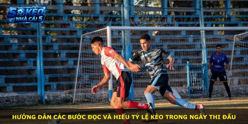 Hướng dẫn các bước đọc và hiểu tỷ lệ kèo trong ngày thi đấu