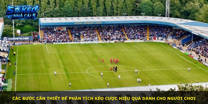 Các bước cần thiết để phân tích kèo cược hiệu quả dành cho người chơi