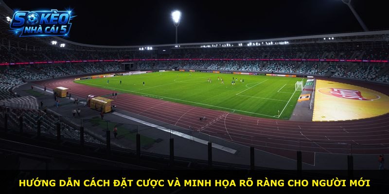 Hướng dẫn cách đặt cược và minh họa rõ ràng cho người mới