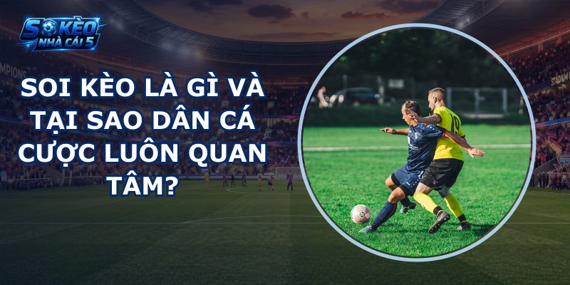 Soi kèo là gì