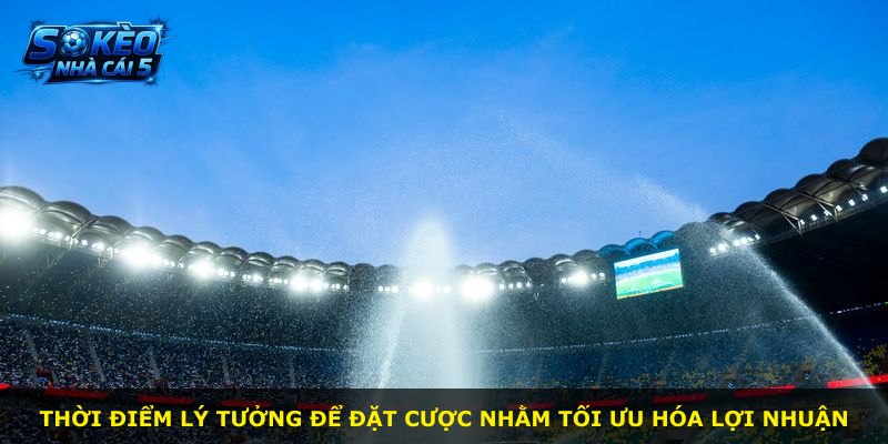 Thời điểm lý tưởng để đặt cược nhằm tối ưu hóa lợi nhuận