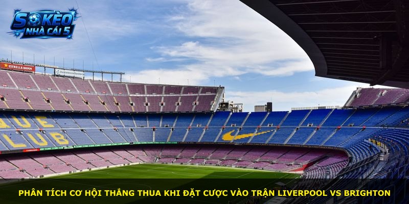 Phân tích cơ hội thắng thua khi đặt cược vào trận Liverpool vs Brighton