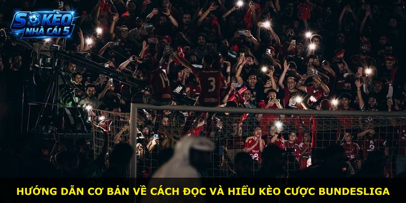 Hướng dẫn cơ bản về cách đọc và hiểu kèo cược Bundesliga