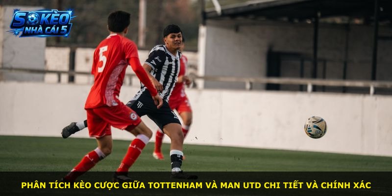 Phân tích kèo cược giữa Tottenham và Man Utd chi tiết và chính xác