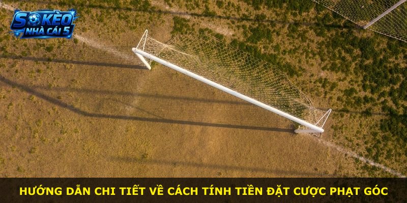 Hướng dẫn chi tiết về cách tính tiền đặt cược phạt góc