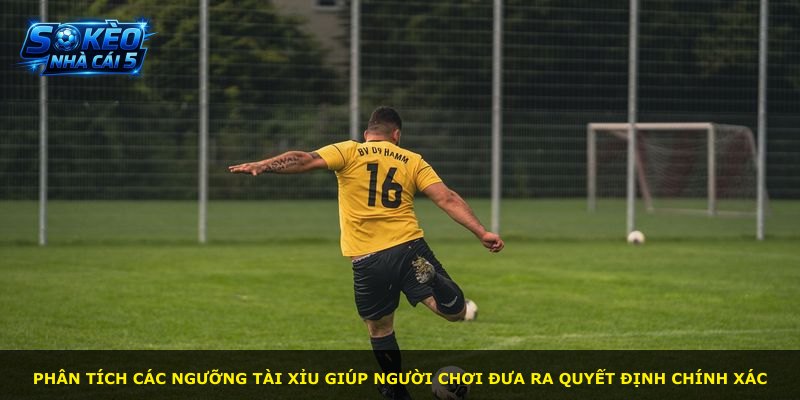 Phân tích các ngưỡng tài xỉu giúp người chơi đưa ra quyết định chính xác