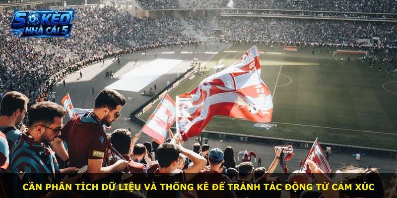 Cần phân tích dữ liệu và thống kê để tránh tác động từ cảm xúc